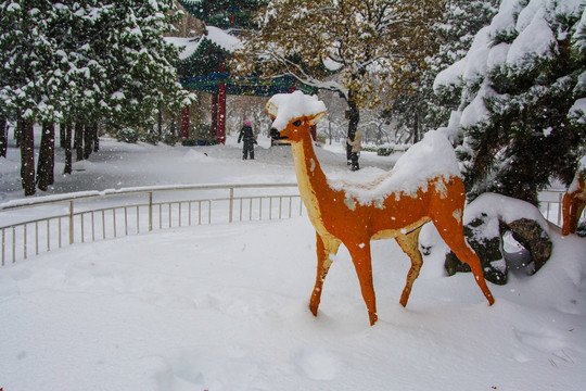 小鹿雕像与松枝松树雪挂雪地