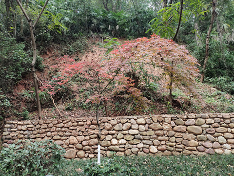 山体护坡