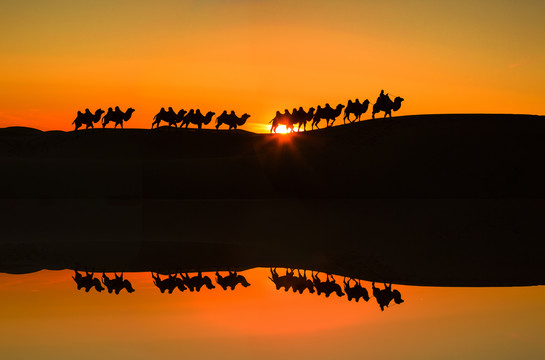 夕阳下的沙漠驼队