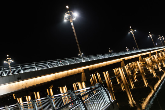网红桥夜景都市之光