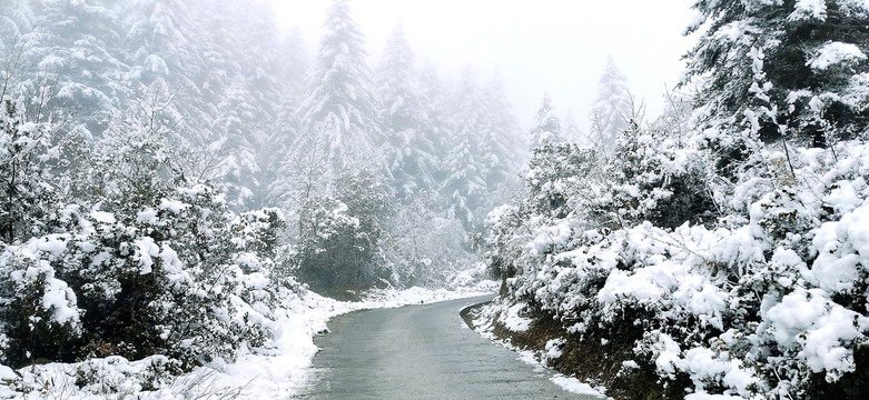 米亚罗山上道路积雪