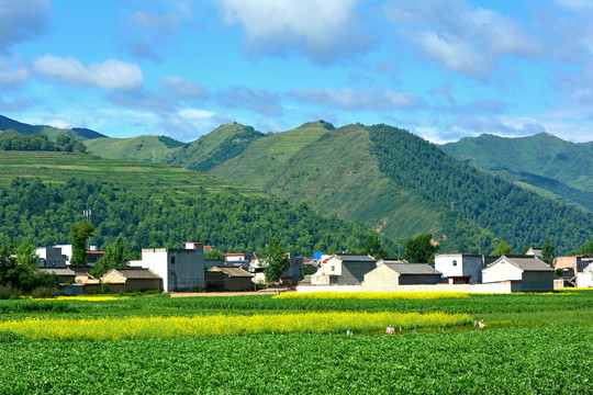 乡村风光