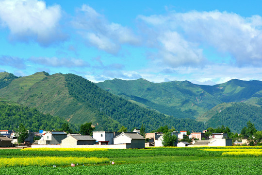 乡村风光