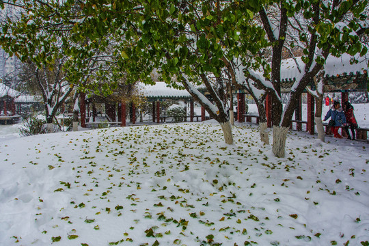 公园长廓凉亭与树下的雪地落叶