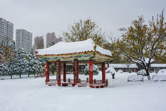 公园方体凉亭长廓树木雪挂雪地