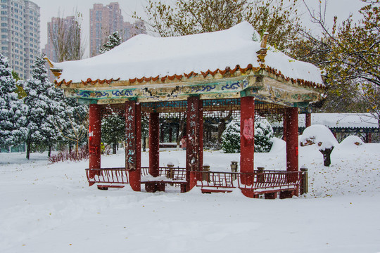 公园方体凉亭长廓松树雪挂雪地