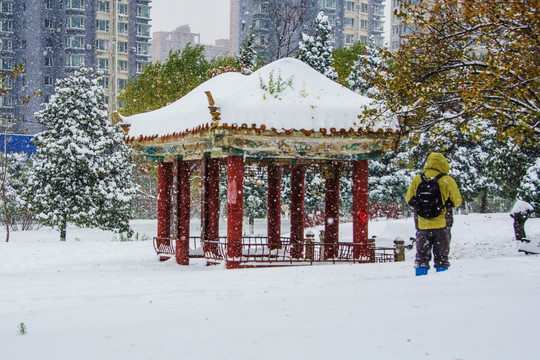 公园方体凉亭长廓松树雪挂雪景
