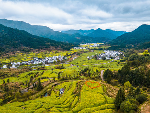 婺源江岭