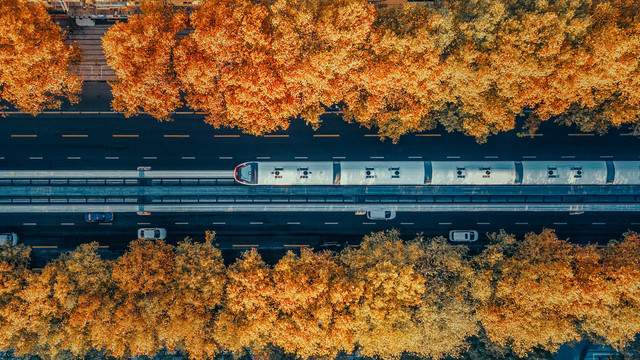 开往秋天的轻轨列车