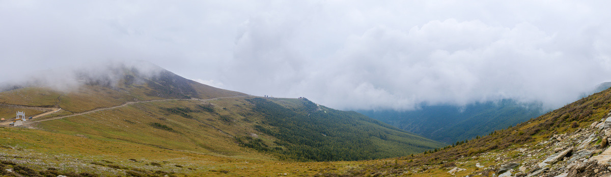 五台山高山草甸