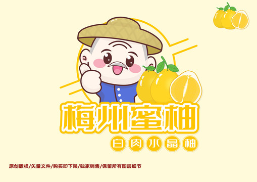 梅州蜜柚卡通ip与柚子图案设计