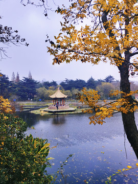 青岛中山公园秋天小西湖
