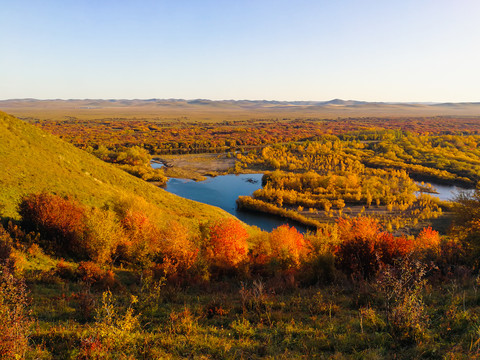 秋季河流湿地红叶