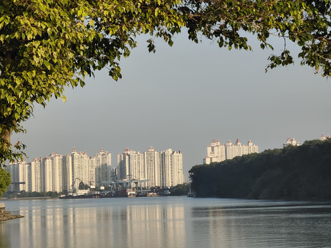 夕阳河景