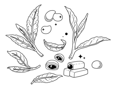 绿茶麻薯芒果矢量图