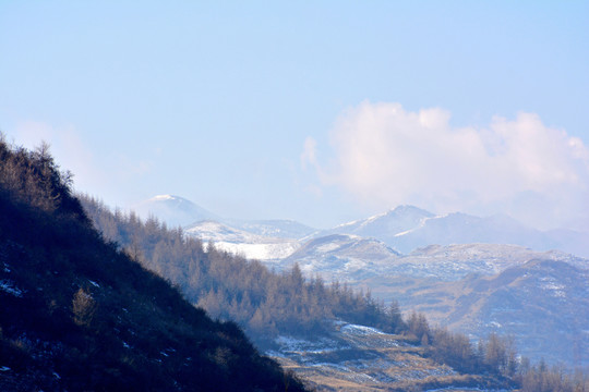 寂山雪韵