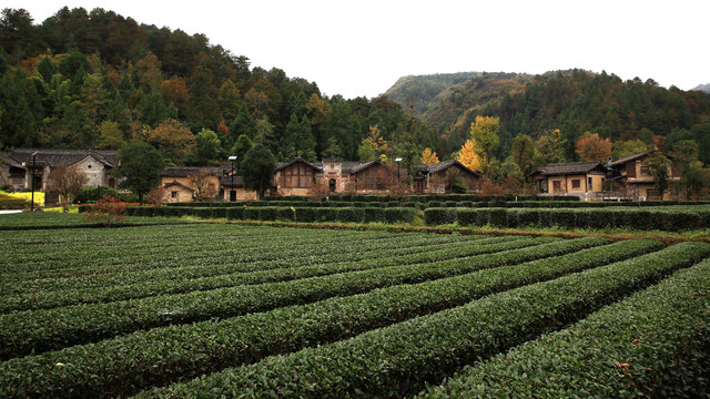 古镇青木川