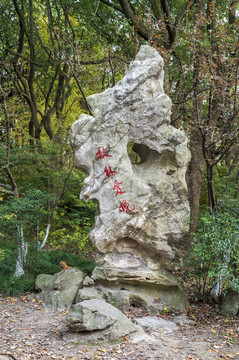 上海共青森林公园秋林爱晚奇石