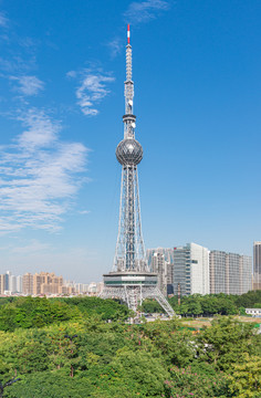 佛山电视塔风景