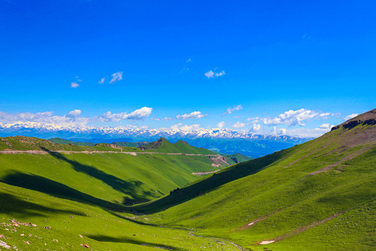 新疆伊犁天山