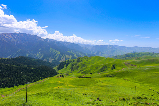 新疆伊犁天山