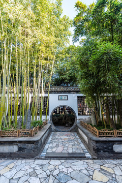 扬州个园的竹林院子