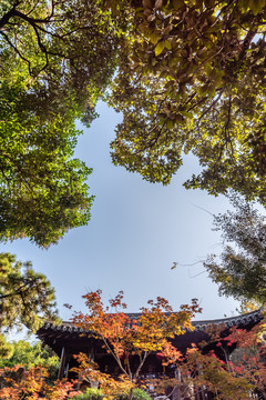 扬州个园的清漪亭和抱山楼古建筑