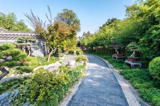 扬州个园的竹品观赏区和盆景花苑