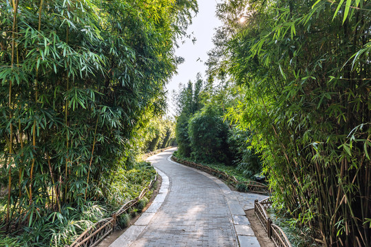 扬州个园的竹品观赏区和盆景花苑