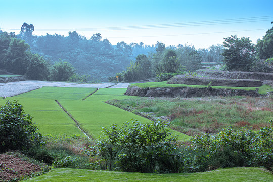 农田土地