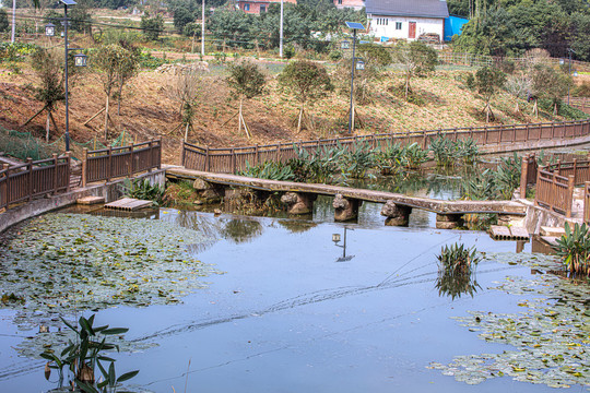 农村河道整治