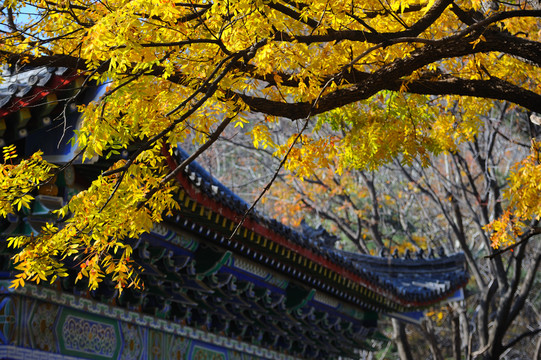 南京栖霞寺