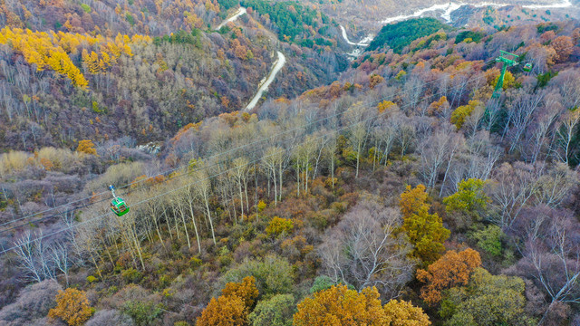 白石山秋叶
