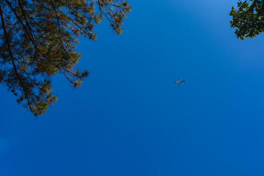 飞跃海岛的直升机