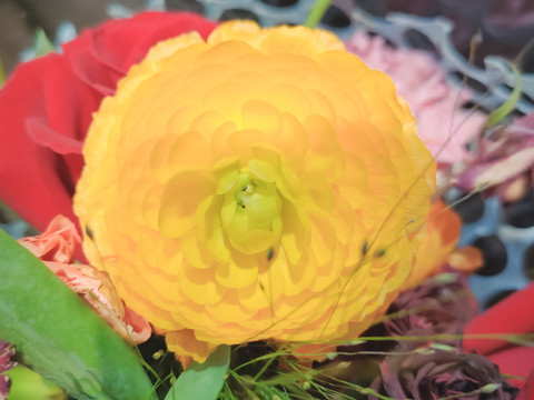 鲜花