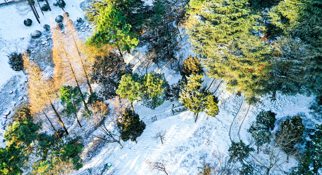 雪景