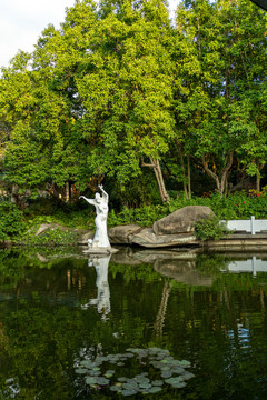 花卉盆景