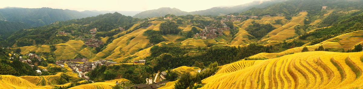 广西龙胜龙脊梯田全景