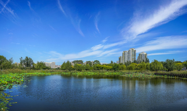 水景园林全景大图