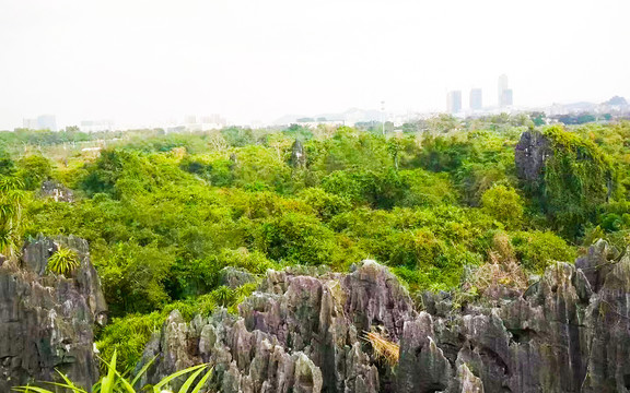 崇左石景林风光摄影图