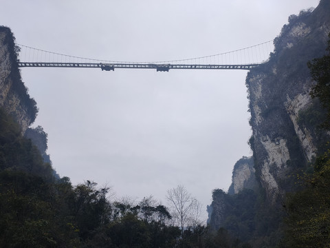 仰拍张家界大峡谷