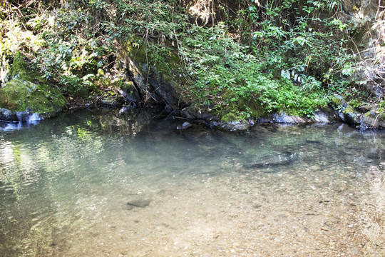 山水