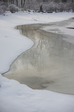 雪中即景