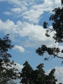 天空