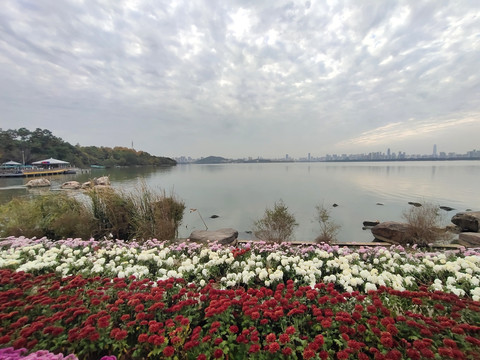 湖边风景