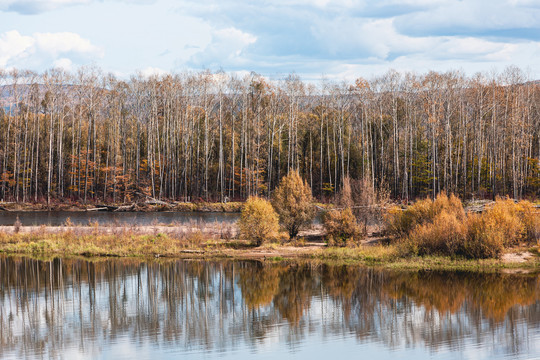 河流树林秋季