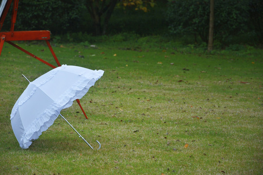 草地上的白伞