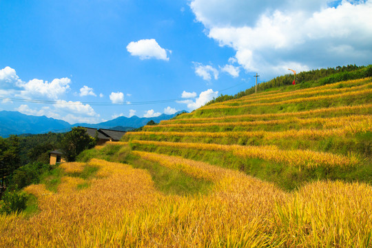 上堡梯田