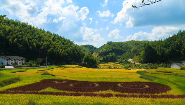 上堡梯田