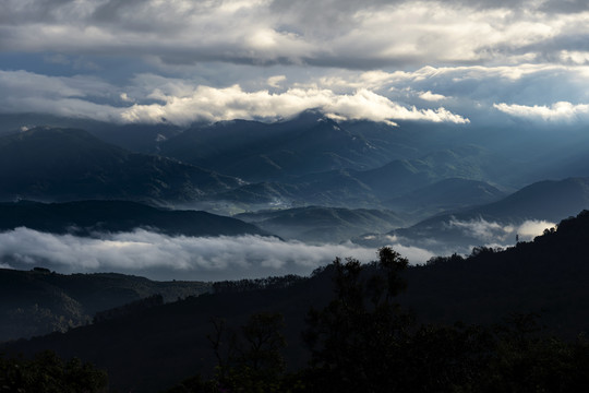 景迈山